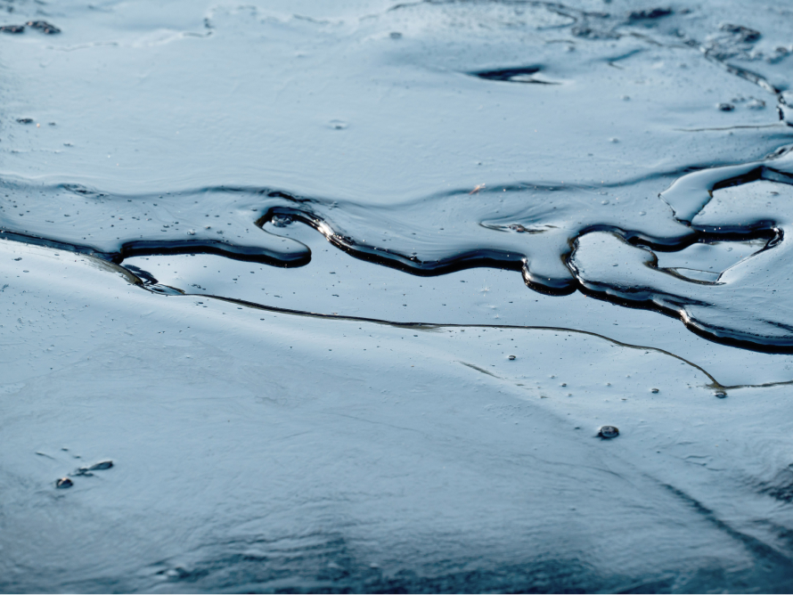 Image for Slop/Slugde